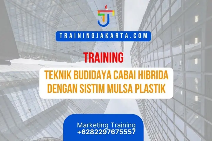 TRAINING TEKNIK BUDIDAYA CABAI HIBRIDA DENGAN SISTIM MULSA PLASTIK